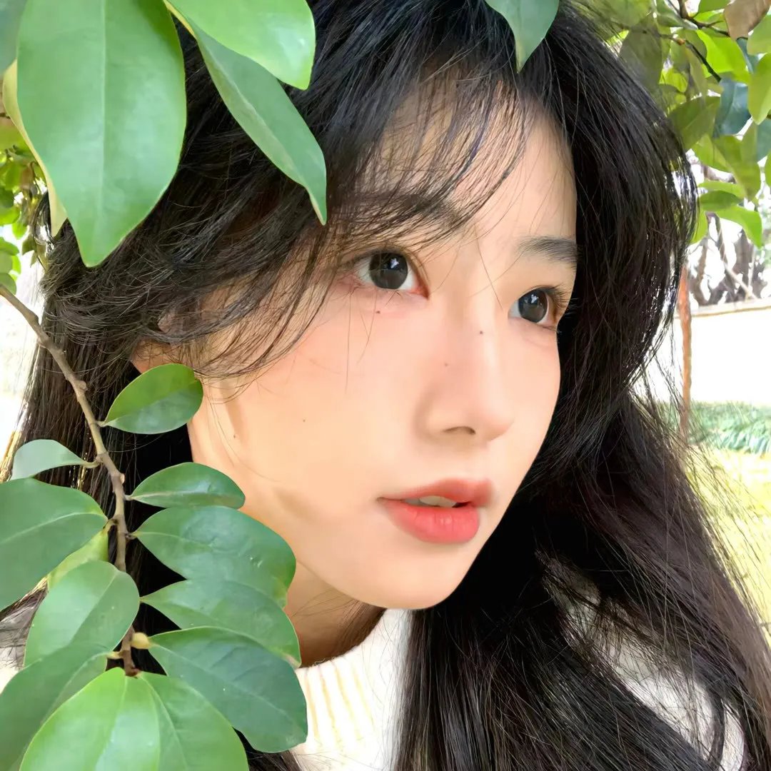 不吉波普不笑