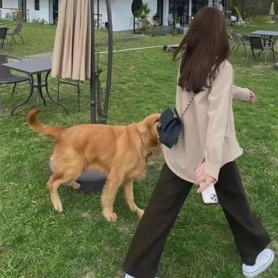 田间小路的花花公子